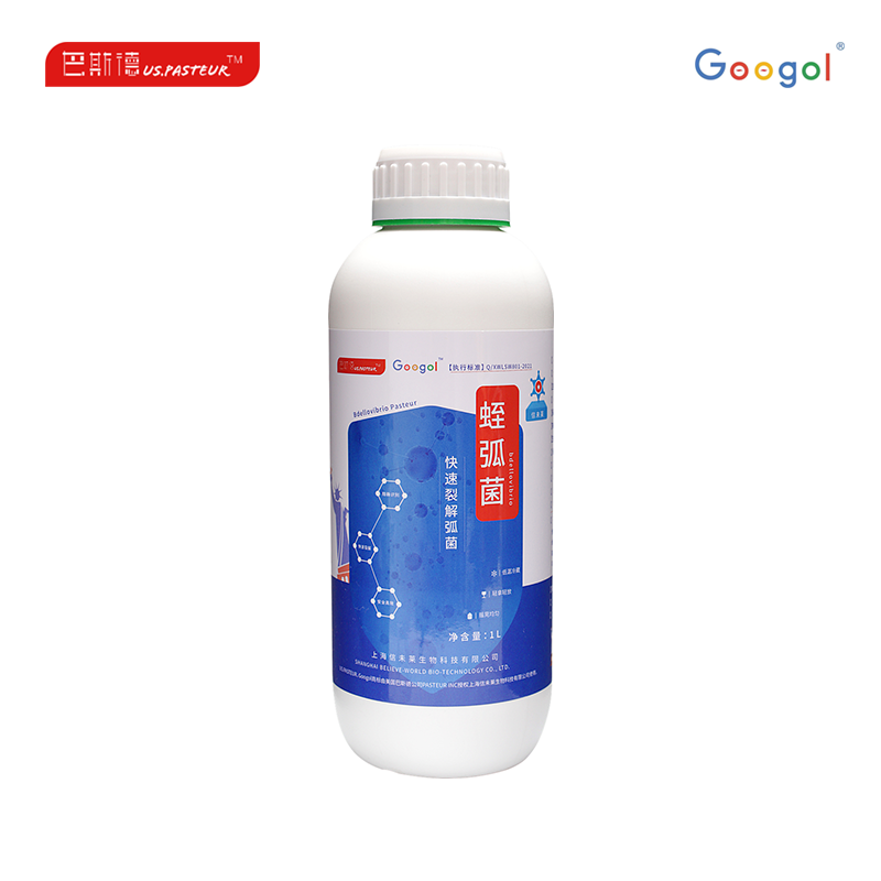 1685705776876115.png 图层 2.png