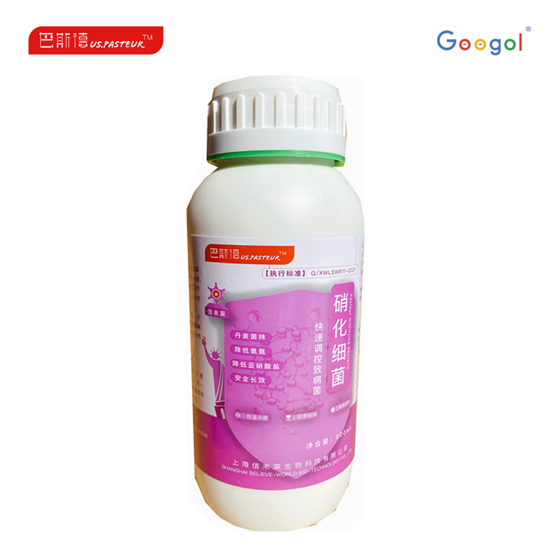 1699931996305282.png 硝化细菌.png